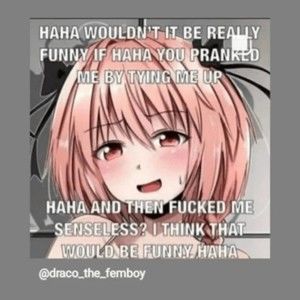 Meet your Posher, Luna